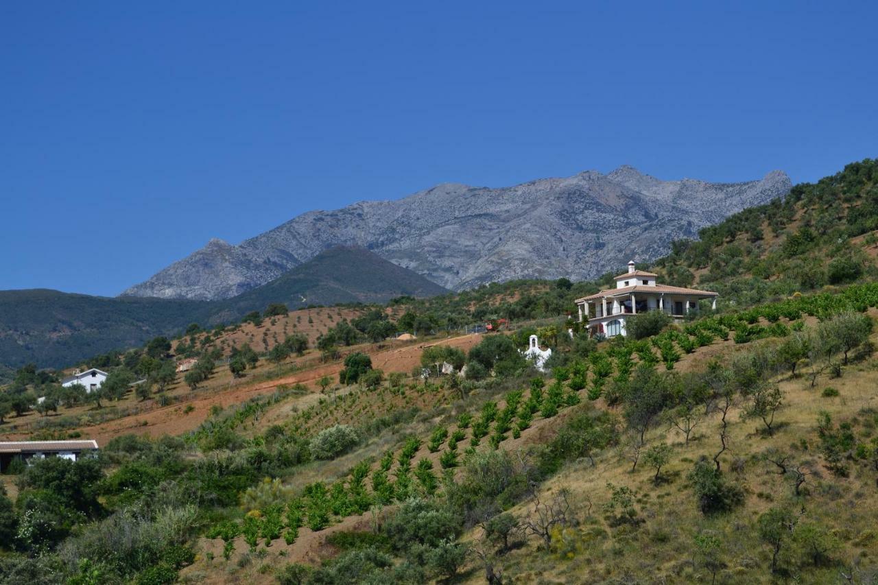 Bed and Breakfast The African House Tolox Exteriér fotografie